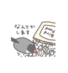 鳥さんに任しとけ（個別スタンプ：29）