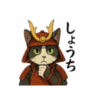 武士猫文太（個別スタンプ：23）
