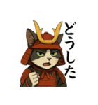 武士猫文太（個別スタンプ：27）