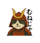武士猫文太（個別スタンプ：31）