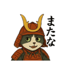 武士猫文太（個別スタンプ：32）