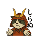 武士猫文太（個別スタンプ：33）