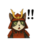 武士猫文太（個別スタンプ：38）
