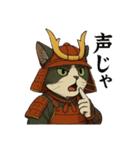武士猫文太（個別スタンプ：39）