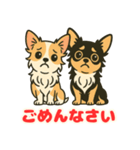 小さな黒と白茶のチワワたち（個別スタンプ：3）
