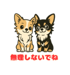 小さな黒と白茶のチワワたち（個別スタンプ：4）