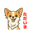 小さな黒と白茶のチワワたち（個別スタンプ：10）