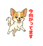 小さな黒と白茶のチワワたち（個別スタンプ：11）