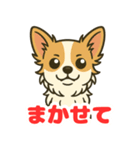 小さな黒と白茶のチワワたち（個別スタンプ：12）