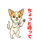 小さな黒と白茶のチワワたち（個別スタンプ：14）