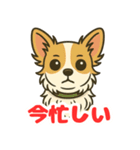 小さな黒と白茶のチワワたち（個別スタンプ：15）