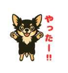 小さな黒と白茶のチワワたち（個別スタンプ：20）