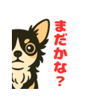 小さな黒と白茶のチワワたち（個別スタンプ：24）