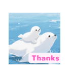 まんまるアザラシの毎日スタンプ集（個別スタンプ：20）