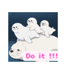 まんまるアザラシの毎日スタンプ集（個別スタンプ：30）