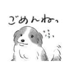 白黒のボーダーコリー（個別スタンプ：6）