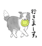 白黒のボーダーコリー（個別スタンプ：10）