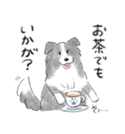 白黒のボーダーコリー（個別スタンプ：20）