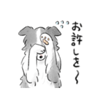 白黒のボーダーコリー（個別スタンプ：22）