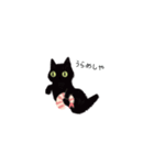 黒猫ちびさんとえびさんの日常（個別スタンプ：37）
