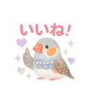 【日常会話】ゆめかわな鳥達（個別スタンプ：13）