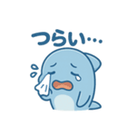 ぷかぷかイルカのまいにちスタンプ（個別スタンプ：1）