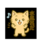 サウナ大好きにゃんこのととのいスタンプ（個別スタンプ：1）