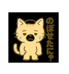 サウナ大好きにゃんこのととのいスタンプ（個別スタンプ：20）