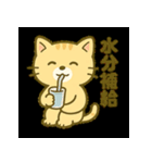 サウナ大好きにゃんこのととのいスタンプ（個別スタンプ：26）