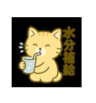 サウナ大好きにゃんこのととのいスタンプ（個別スタンプ：33）