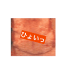 牛たんで盛り上がりたい僕たちのスタンプ（個別スタンプ：2）
