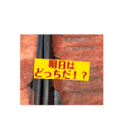 牛たんで盛り上がりたい僕たちのスタンプ（個別スタンプ：3）