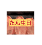 牛たんで盛り上がりたい僕たちのスタンプ（個別スタンプ：12）