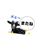 ヤギさんでごあいさつ♪ (アニメーション)（個別スタンプ：7）