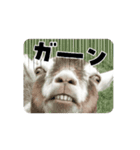 ヤギさんでごあいさつ♪ (アニメーション)（個別スタンプ：8）