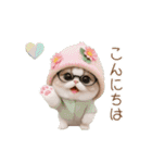 動く！かわいいメロン帽 眼鏡ネコたち（個別スタンプ：2）