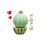 動く！かわいいメロン帽 眼鏡ネコたち（個別スタンプ：4）
