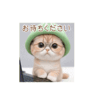 動く！かわいいメロン帽 眼鏡ネコたち（個別スタンプ：11）