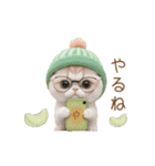 動く！かわいいメロン帽 眼鏡ネコたち（個別スタンプ：14）