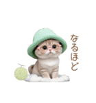 動く！かわいいメロン帽 眼鏡ネコたち（個別スタンプ：17）