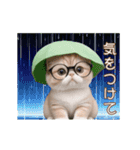 動く！かわいいメロン帽 眼鏡ネコたち（個別スタンプ：23）
