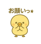 ぴよんスタンプ第三弾！（個別スタンプ：1）