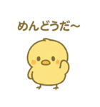 ぴよんスタンプ第三弾！（個別スタンプ：14）
