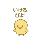ぴよんスタンプ第三弾！（個別スタンプ：24）