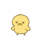 ぴよんスタンプ第三弾！（個別スタンプ：37）