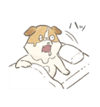 溶けるイヌ（ソイ）（個別スタンプ：1）