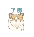溶けるイヌ（ソイ）（個別スタンプ：3）