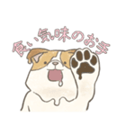 溶けるイヌ（ソイ）（個別スタンプ：4）