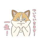 溶けるイヌ（ソイ）（個別スタンプ：9）