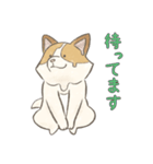 溶けるイヌ（ソイ）（個別スタンプ：10）